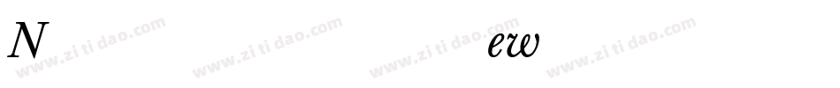 New Baskerville Italic BT字体转换